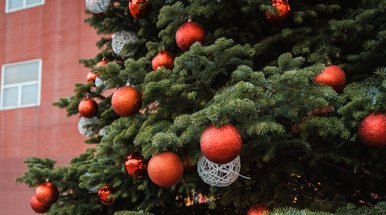 albero di natale