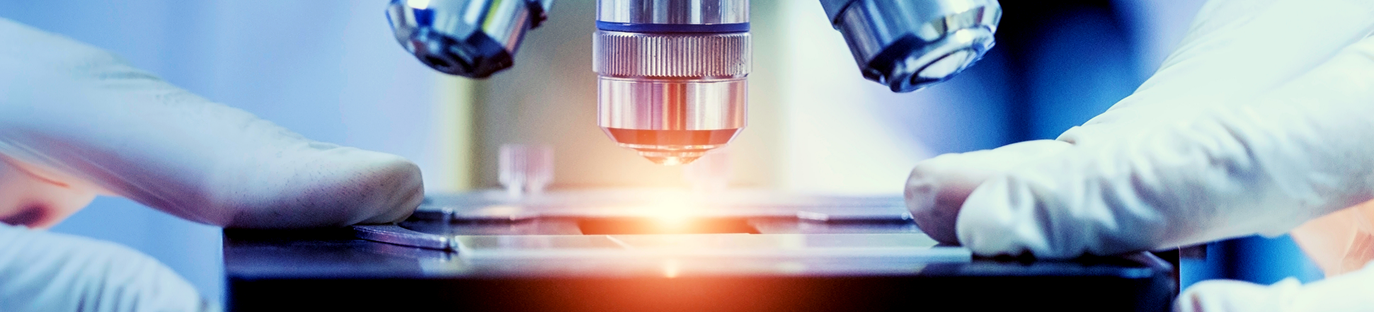 ricerca in laboratorio
