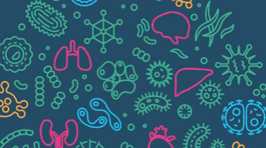 microbiotami