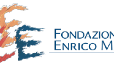 feem logo