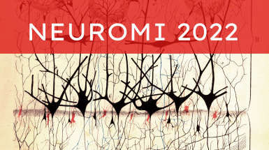 neuromi 2022