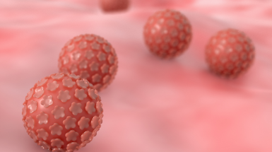 Papilloma Virus