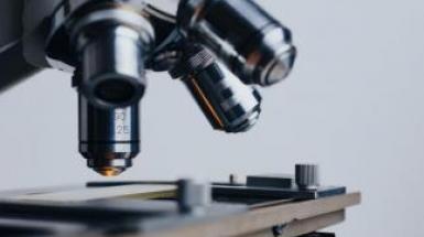 laboratori