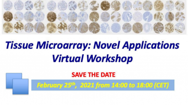 Workshop microtissue