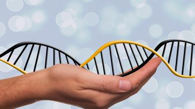 DNA
