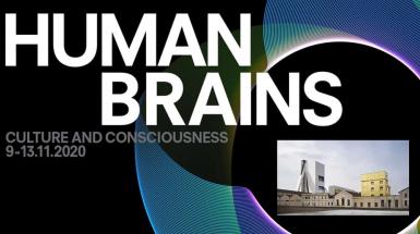 human brains