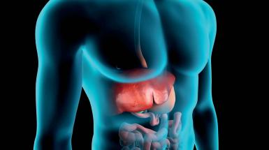 Sino Italian Biliary Disease