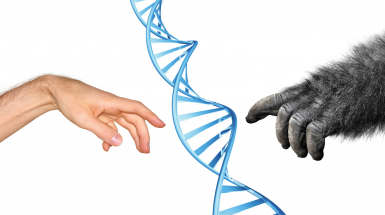 paleogenetica