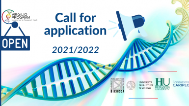 Virgilio Program Call 2021