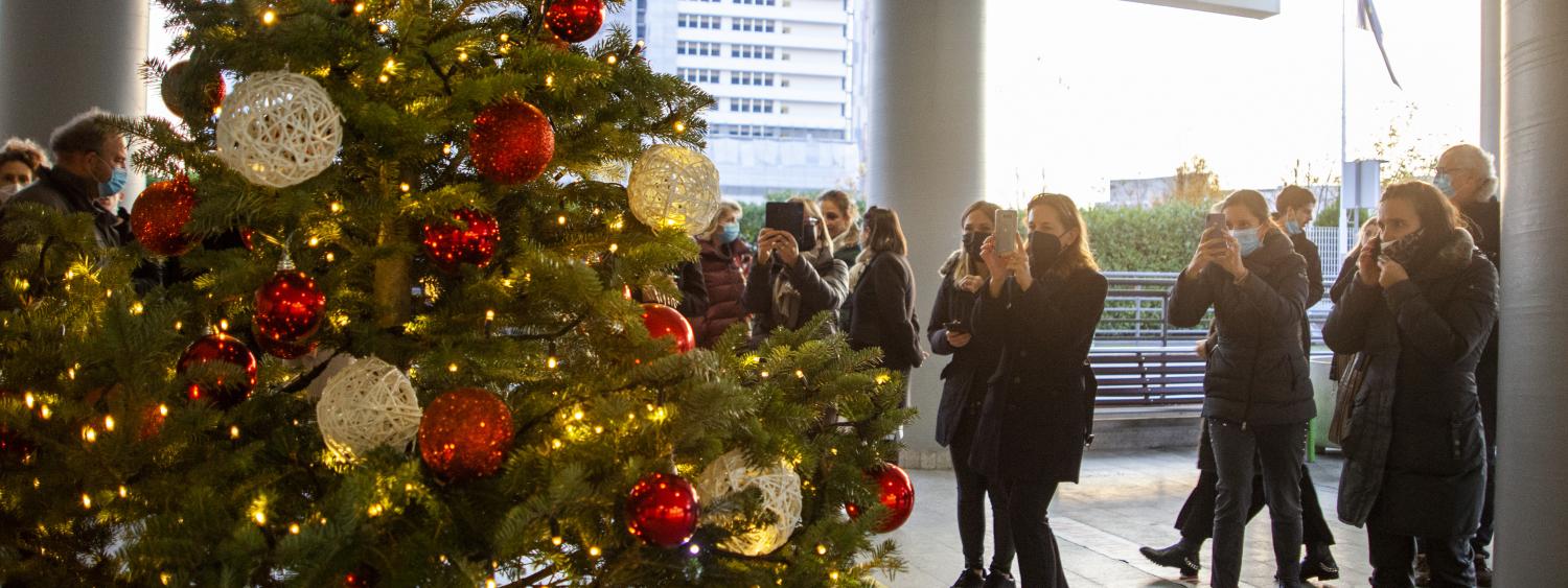 Natale 2021 - Accensione Albero