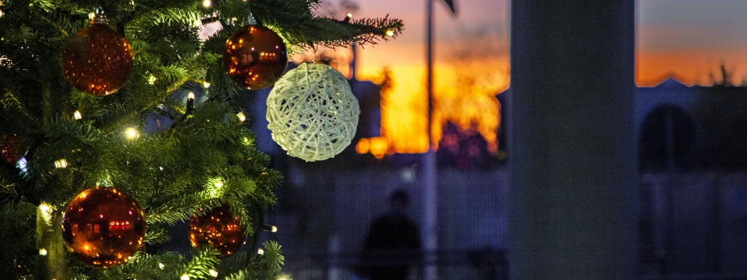 Natale 2021 - Accensione Albero
