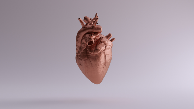 muraru il cuore destro