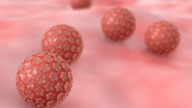 Papilloma Virus
