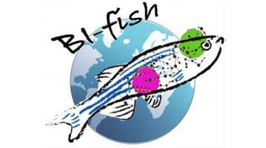Bi-FISH – WORKSHOP Bicocca Meet ZebraFISH