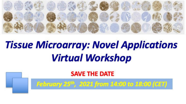 Workshop microtissue