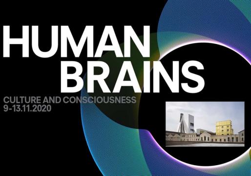 human brains