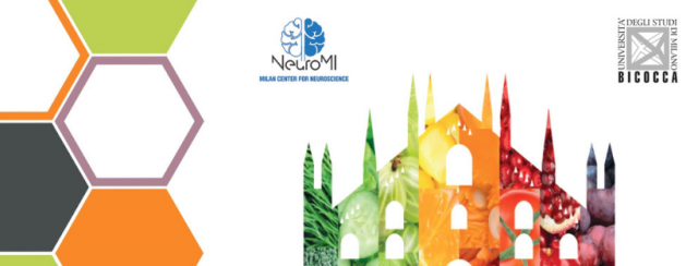 Neuromi