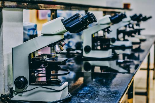 Laboratori