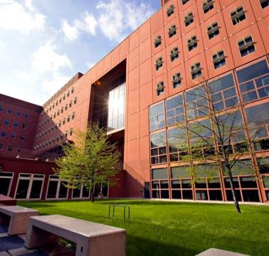 Bicocca U6